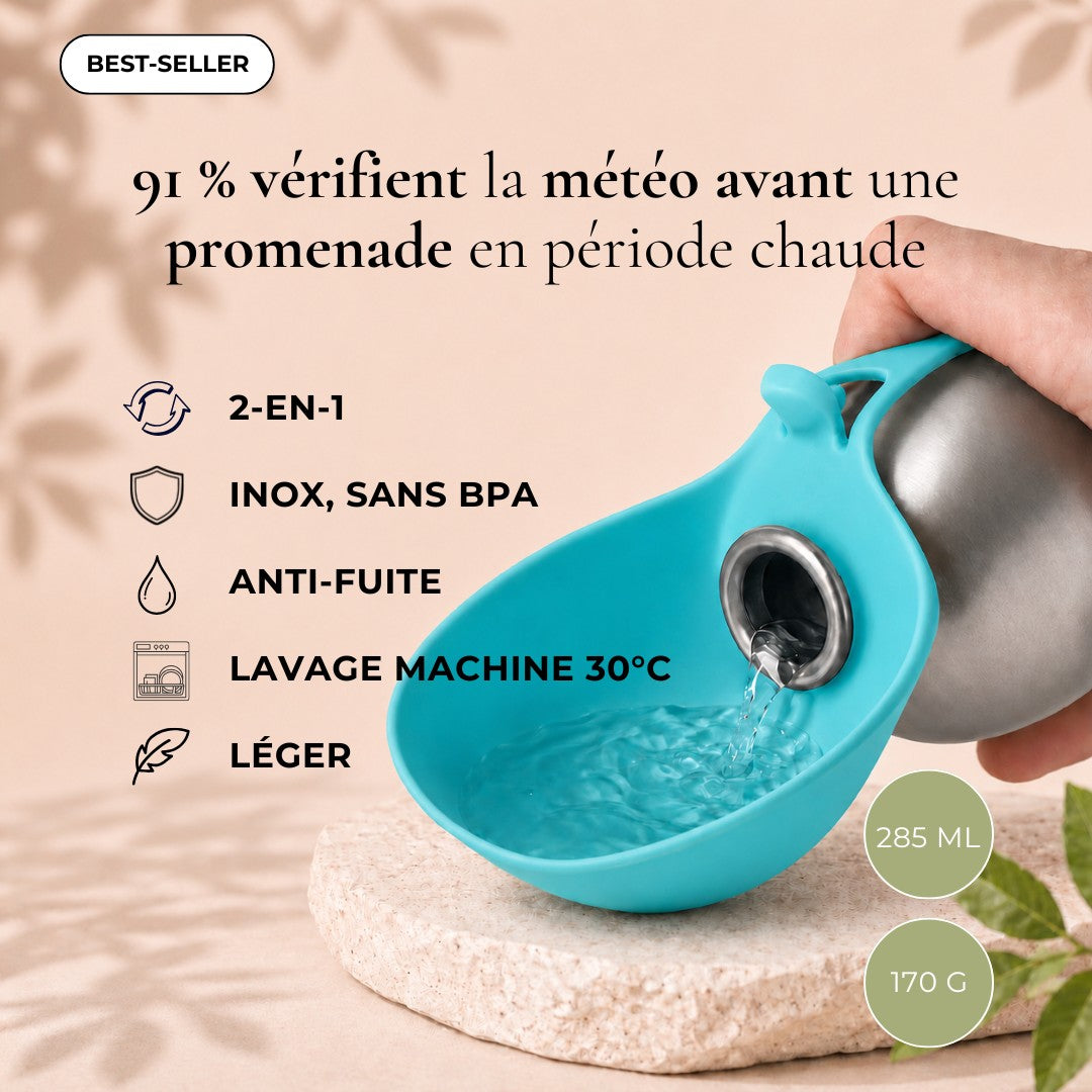 Gourde pour chien en inox avec bol pliable intégré