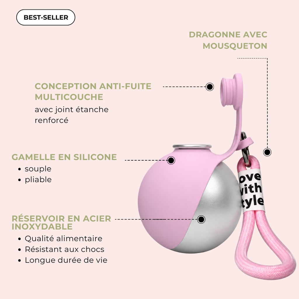 Gourde pour chien en inox avec bol pliable intégré