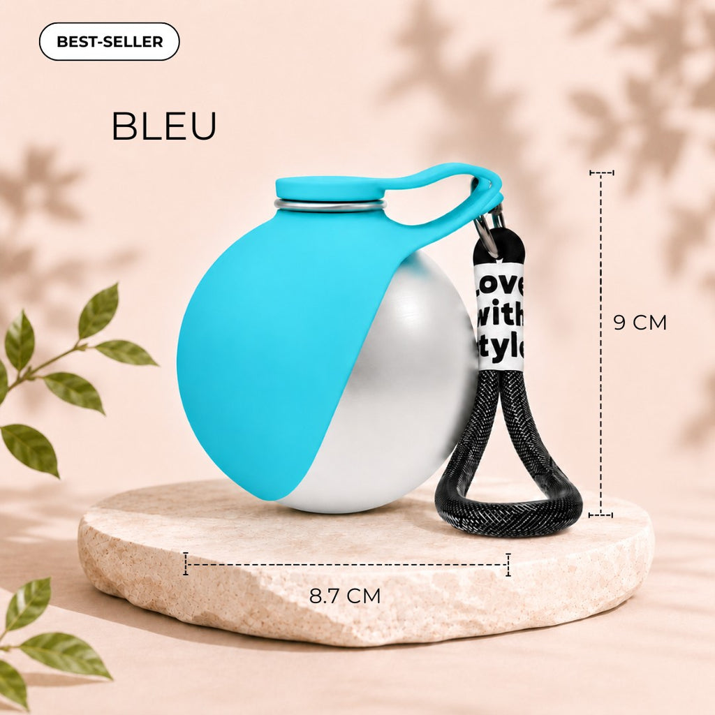 Gourde pour chien en inox avec bol pliable intégré