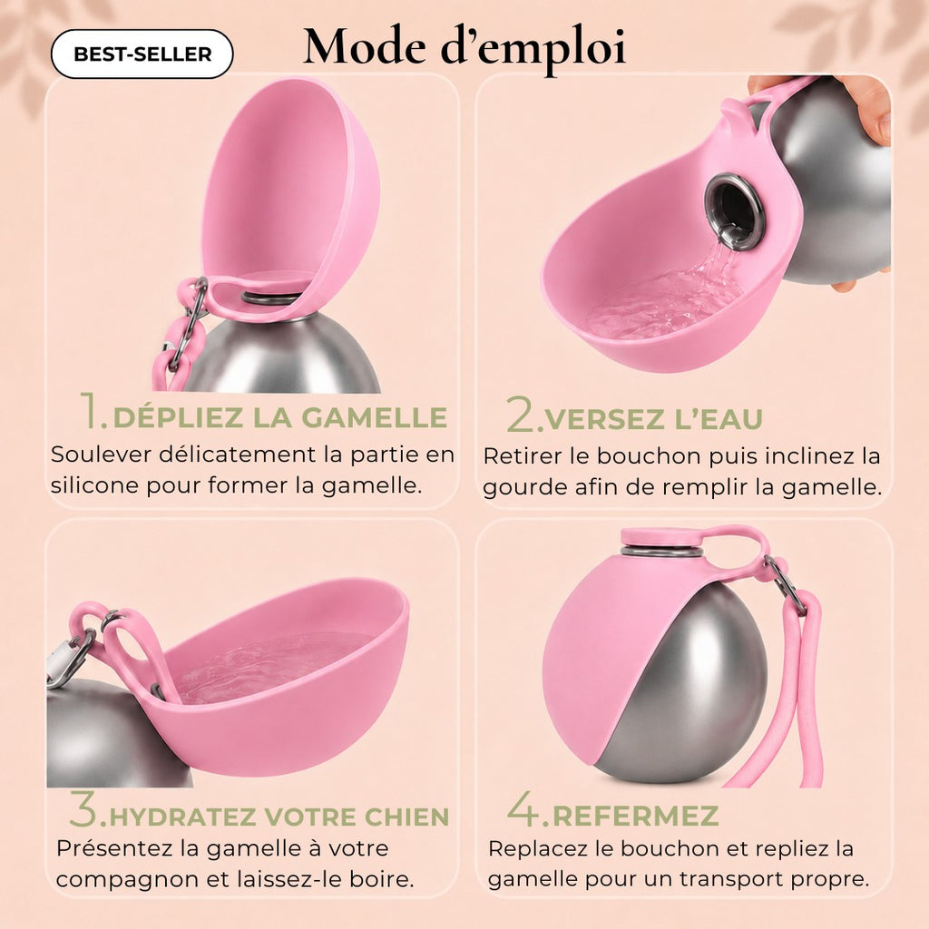 Gourde pour chien en inox avec bol pliable intégré