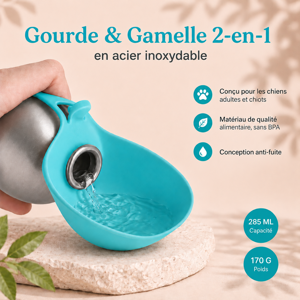 Gourde pour chien en inox avec bol pliable intégré