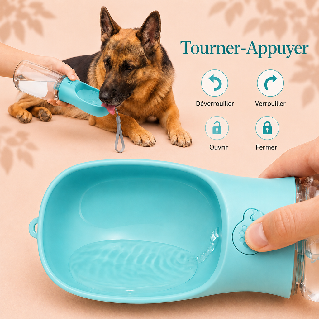 Gourde 2-en-1 pour chien avec compartiments eau et croquettes